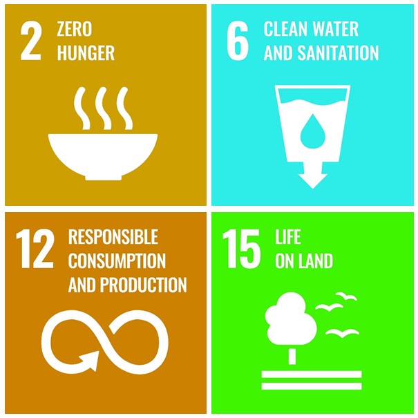 icons of sustainable development goals