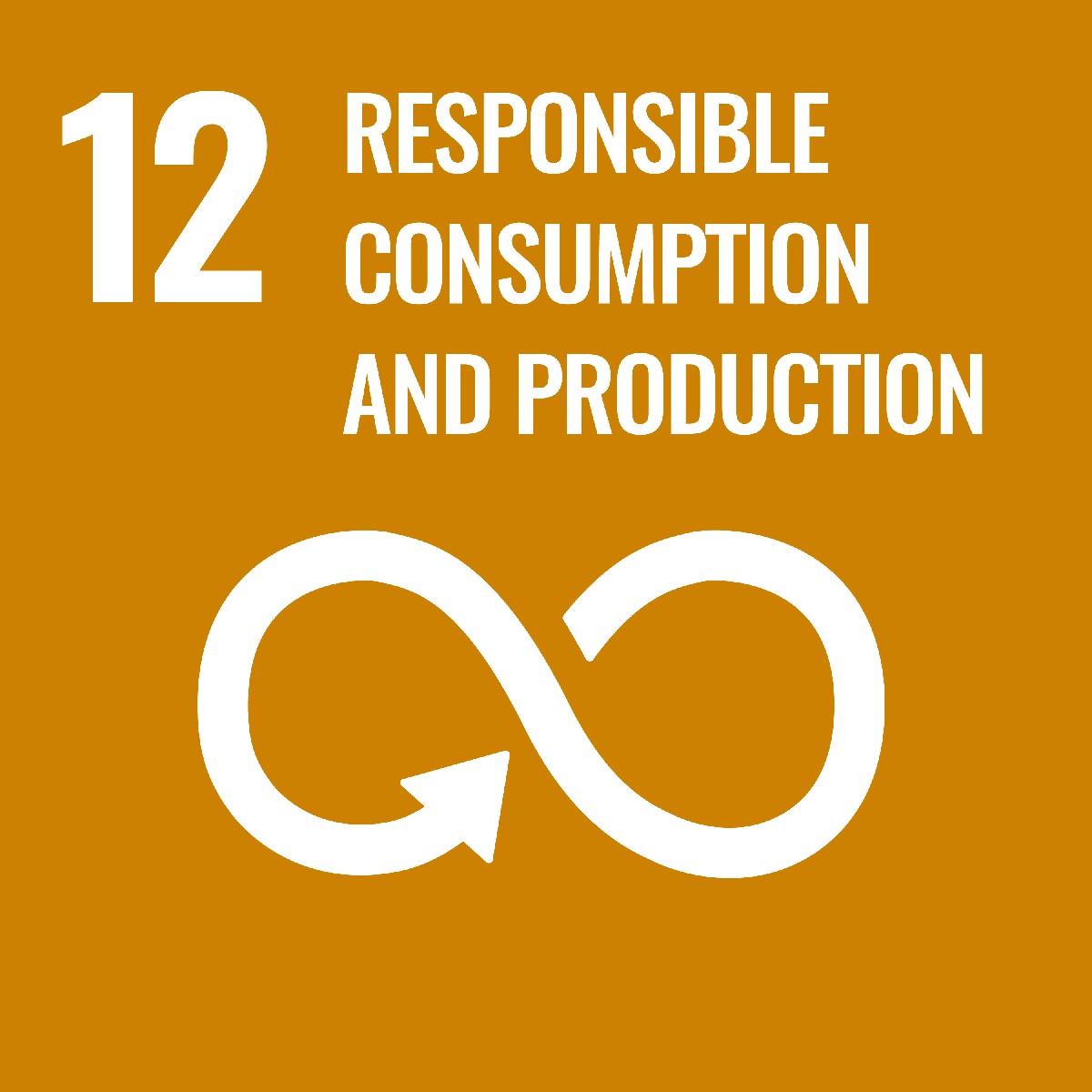 icon for sustainable development goal responsible consumption and production