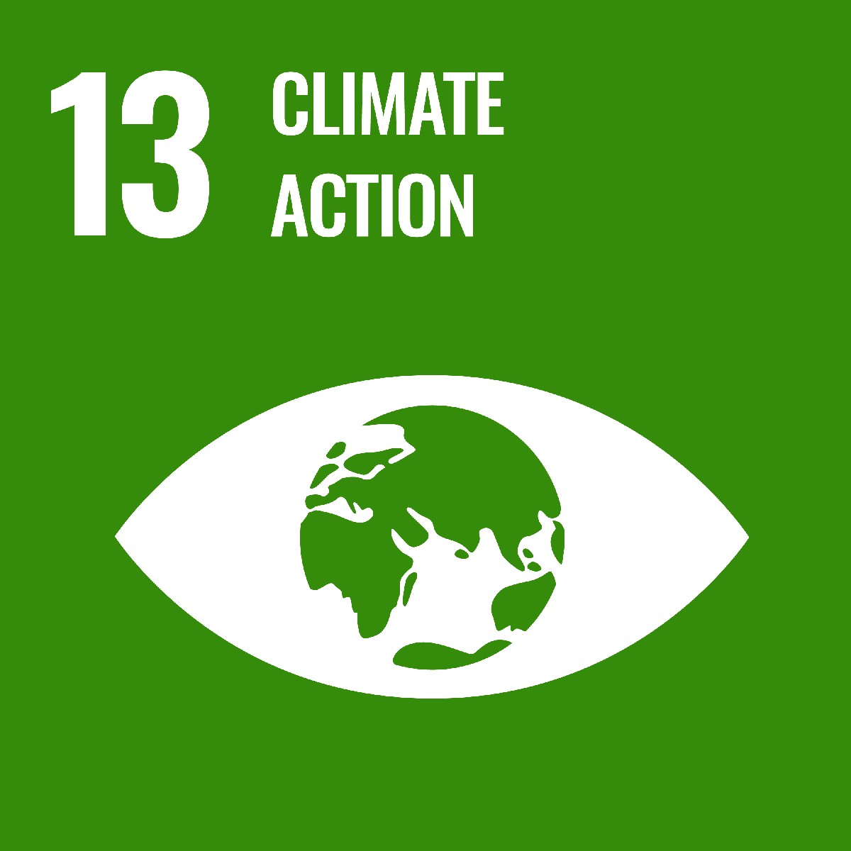 icon for sustainable development goal climate action