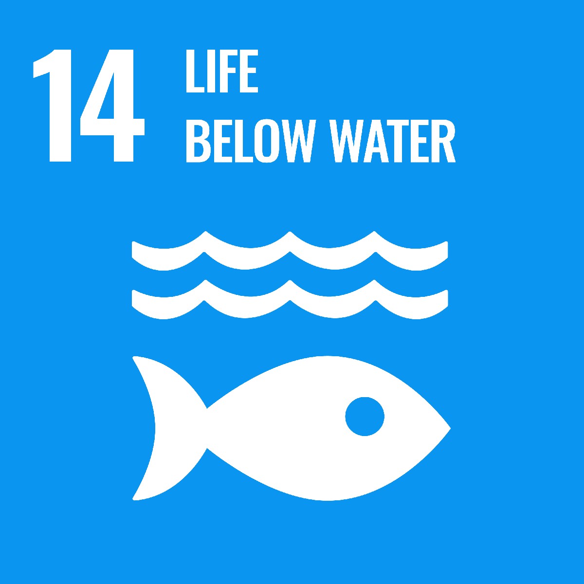 icon for sustainable development goal life below water