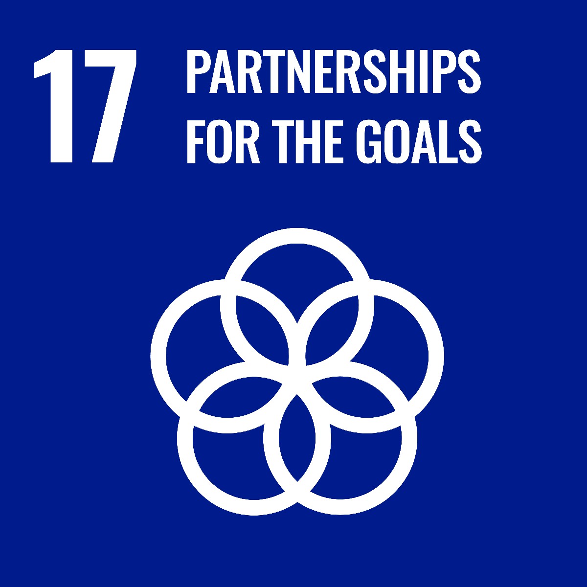 icon for sustainable development goal partnership for the goals
