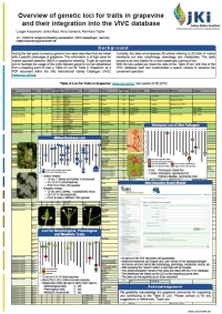 example image for conference poster