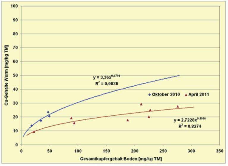 Abb. 15.  Gemessene interne Cu-Konzentrationen [mg/kg TM Körper) epigä­isch lebender Würmer (L. castaneum und L. rubellus) zu Cu-Ge­samtgehalten [mg/kg Boden TM] unter­schiedlich belasteter Flächen in den Jahren 2010 und 2011 beprob­ter Betriebe.