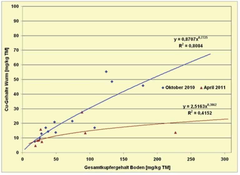 Abb. 15.  Gemessene interne Cu-Konzentrationen [mg/kg FM Körper) endogä­isch lebender Würmer (überwiegend: A. rosea, A. chlorotica und A. ca­liginosa) zu Cu-Ge­samtgehalten [mg/kg Boden (TM)] unter­schiedlich belasteter Flächen in den Jahren 2010 und 2011 beprob­ter Betriebe.