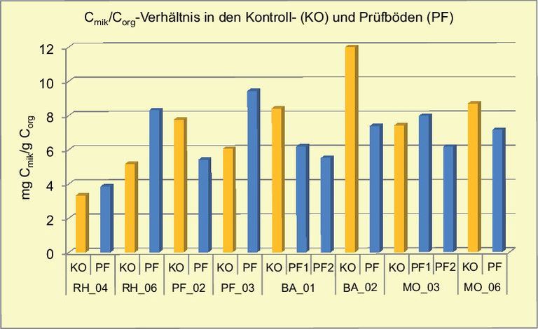 Abb. 1. Cmik/Corg-Verhältnis in den Prüfböden im Vergleich zur Kontrolle.