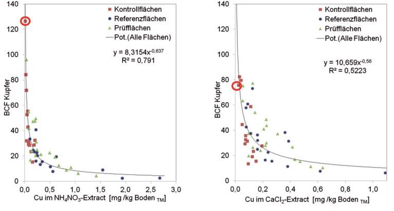 Abb. 3. Potentieller Zusammen­hang zwischen den Kupfergehalten im Bo­denextrakt und den auf der Basis von Extrakt­gehalten berechneten Biokonzentrationsfak­toren der Regenwurm­zönose bezogen auf Mittelwerte der Unter­suchungsflächen im Vergleich – NH4NO3-Extrakt (links) und im CaCl2-Extrakt (rechts) – (n = 49).