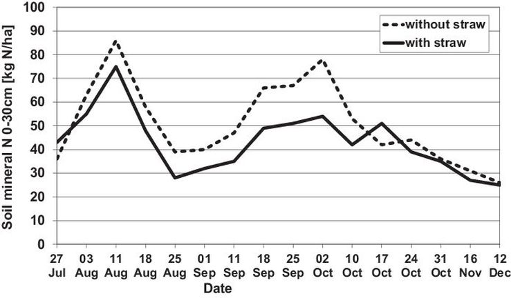 Fig. 1. 	Effect of incorporation of oilseed rape straw (26 July) on soil mineral N in 0–30 cm during au­tumn 2006 (Henke, un­published data).