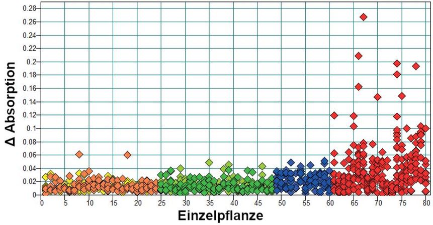 Abb. 2. Unterschied (RMS, root mean square) aller gemessenen Spektren um das jeweilige Mittelwertspektrum der Einzelpflanzen. Jede Probennummer steht für eine Einzelpflanze (EP), jeder Punkt für ein gemesse­nes Spektrum. Gemessen wurden je Ernte (E1 und E2) 5 Blätter pro EP bei den Zielkulturen und 12–18 Messungen pro Blatt an jeweils einer EP bei Greiskraut (gelb = Melisse E1; orange = Melisse E2; hellgrün = Pfefferminze E1; dunkelgrün = Pfefferminze E2; hellblau = Brennnessel E1; dunkelblau = Brennnessel E2; rot = Greiskraut).