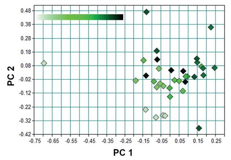 Abb. 7. PCA der Mittelwertspektren der gemessenen Blätter von Pfefferminze acht Messreihen (M). Jeder Punkt zeigt ein über fünf Messwiederholungen gemitteltes Spektrum des jeweiligen Blattes um jeweiligen Zeit­punkt 1 bis 8. Der Farbcode steht für die Messreihen 1–8 (jung: hell, alt: dunkel).