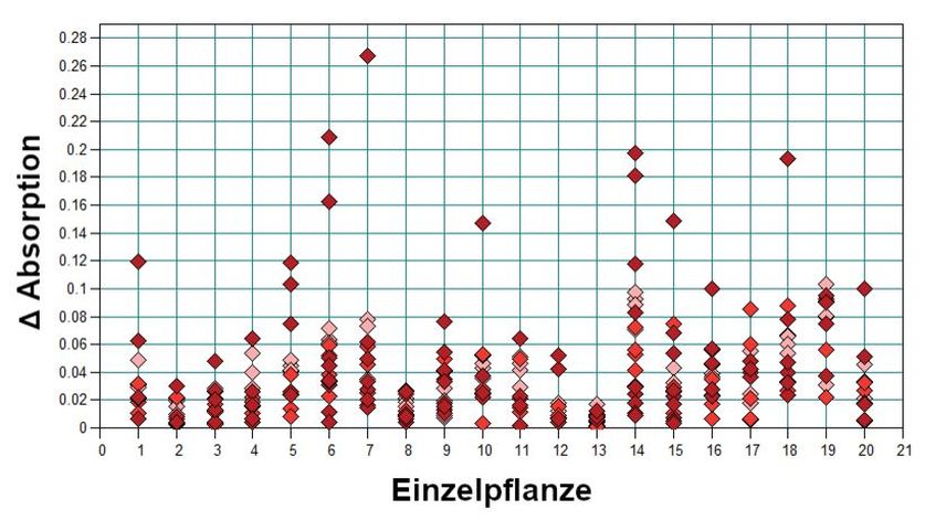 Abb. 8. RMS-Fehler (root mean square) der Spektren um das Mittelwertspektrum des jeweils gemessenen Blattes von Greiskraut über verschiedene Entwicklungsstufen (M). Jeder Punkt steht für ein gemessenes Spek­trum desselben Blattes (N = 20, n = 12–18, M1-M4/jung: hellrot, M5-M8/mittel: rot, M9–18/alt: dunkel­rot).