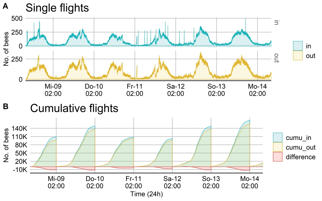 Fig. 5. Daily activity curve of a bee colony at the beginning of May 2018 covering six days. 
A: Single flight counts are shown from incoming (green) and leaving (yellow) bees. B: Cumulative flight counts (daily sum) are shown from incoming (green) and leaving (yellow) bees. The difference between ∑ leaving – ∑ entering bees is shown in red.

