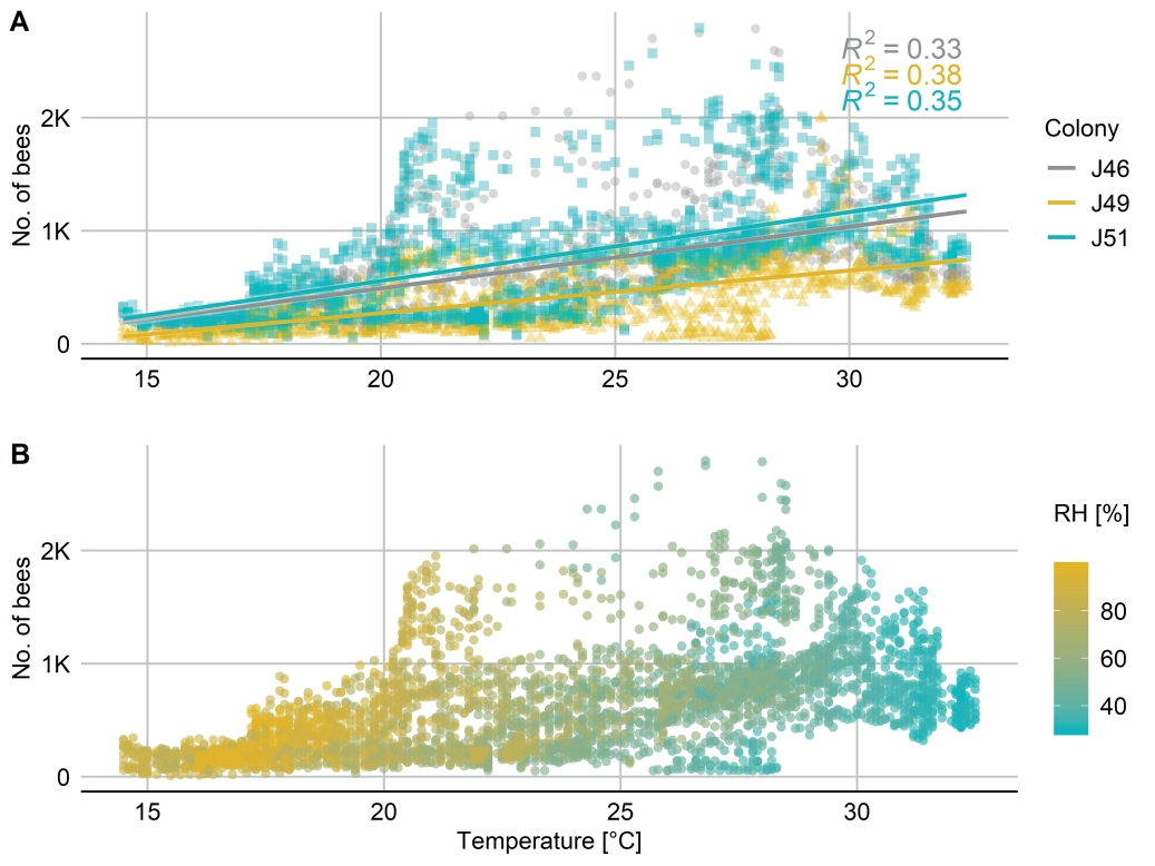 Fig. 6. Temperature dependent activity curve of a bee colony at the end of May 2018 covering four days. 
A: A weak positive correlation of temperature and flight activity (No. of bees leaving the colony/5 min inter­vals) was revealed. B: All flight data were ungrouped and plotted against the temperature and colored with a relative humidity (RH) gradient.
