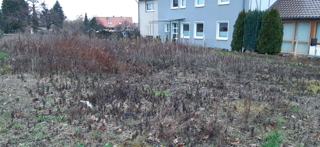 Fig. 2. Fall aspect of an uncut wildflower strip in Friedland (Lower Saxony, Germany). 
Vegetation remaining uncut over two winter periods can provide above-ground nesting opportunities for wild bees suitable for reproduction (Photo: André Krahner).
