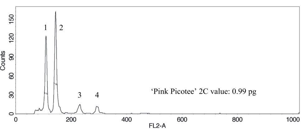 Fig. 3. DNA histogram shows two 2C peaks and two 4C peaks, which correspond to the nucleus DNA. 
1: 2C peak sample ‘Pink Picotee’, 2: 2C peak internal standard cauliflower ‘Korso’, 3: 4C peak ‘Pink Picotee’, and 4: 4C peak ‘Korso’.
