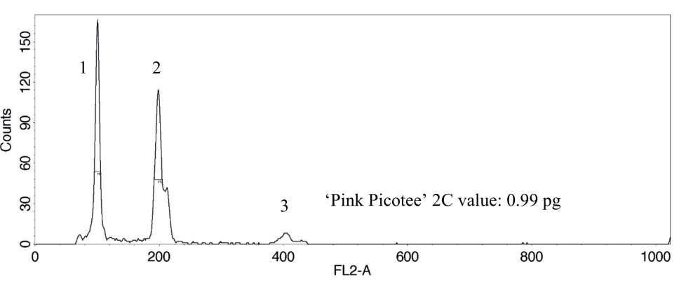 Fig. 4. DNA histogram shows two 2C peaks and one 4C peak, which correspond to the nucleus DNA. 
1: 2C peak sample ‘Pink Picotee’, 2: 2C and 3: 4C peak internal standard tomato ‘Stupické’.
