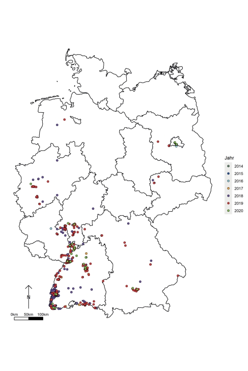 Abb. 2. Ausbreitungsentwicklung von Halyomorpha halys in Deutschland in den Jahren 2014 bis 2020. 
Da­tengrundlage für die Karte sind Monitorings vom LTZ und JKI sowie vom LTZ gesammelte Daten aus verschiedenen Quellen, wie z. B. den Pflanzen­schutzdiensten der Länder, Bürgermeldungen (Ci­tizen Science) (iNaturalist, https://www.inaturalist.org/) und Tim Haye (https://www.halyomorphahalys.com/), nähere Informatio­nen und aktuelle Monitoringergebnisse auch unter https://ltz.landwirtschaft-bw.de/pb/,Lde/Startseite/Arbeitsfelder/ProgRAMM.
