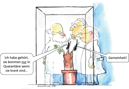 Karikatur zum Thema Quarantäne von Laubholz­bockkäfern. 
Illustrator: Michael Becker.
