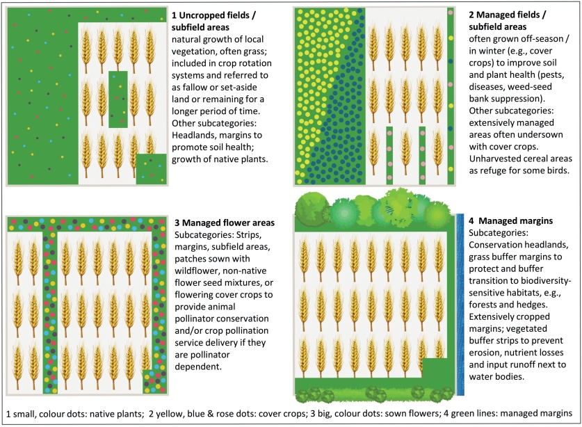 Fig. 2. Graphic visualization of the four db-habitat groups. Each group consists of various subcategories and in­dicates sensible implementation options for farmers to choose from according to the local conditions.