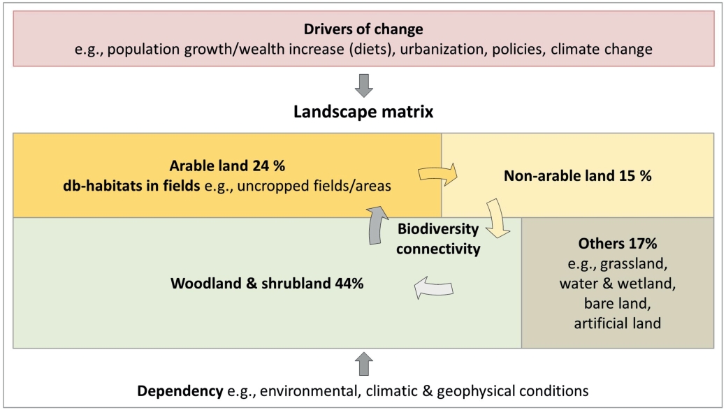 Fig. 3. db-habitats as part of the broader landscape matrix, dependencies and drivers of change.