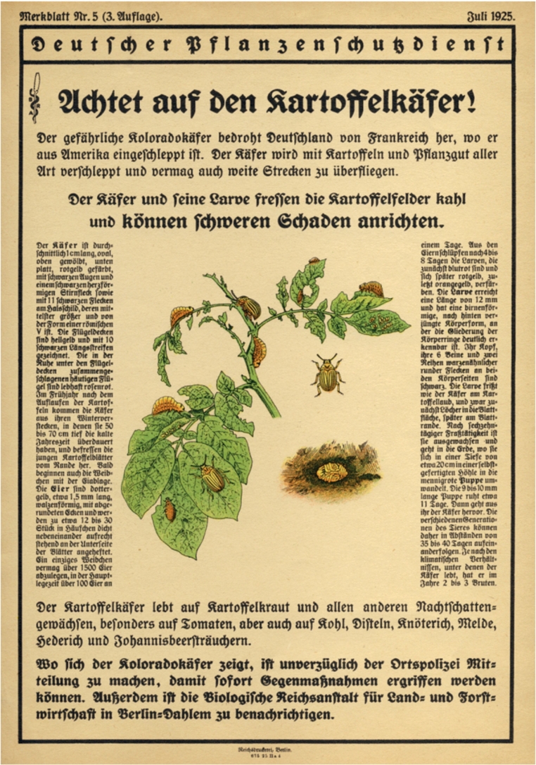 Abb. 1. Kartoffelkäfermerk­blatt der Biologischen Reichsanstalt, 1925.