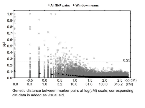Fig. 2. Decay of LD of the 171.405 marker pairs on chromosome 1 (NV644נNV153 linkage map). The average R2 values of windows with 605 marker pairs (collecting all pairs at 0cM in one window) are indicated.
