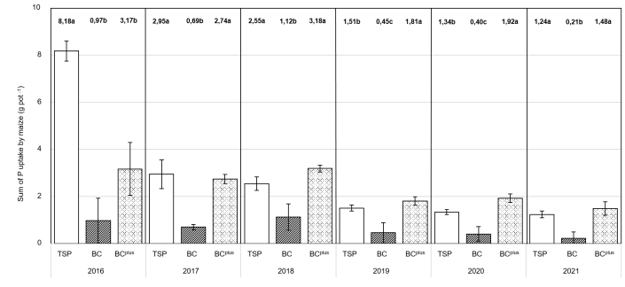 Figure 1. Mean cumulated P uptake (sum of harvests at BBCH 32 [whole plant] and 85 [straw + grain]) and standard deviations (g per pot) of maize in a pot experiment in 2016 – 2021 as affected by type of P-fertilizer (TSP: triple superphosphate), BC: bone char), BCplus: sulfur enriched bone char). Low letters indicate significant differences (p < 0.05, Kruskal-Wallis test or Tukey test in dependence of normal distribution of data).
