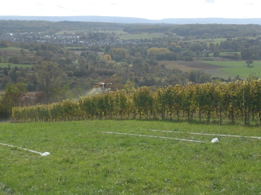 Fig. 3. View on the inclined vineyard in Weingarten during a test with the drone applying the test liquid, the short grass canopy on the downwind area and the planks supporting the petri dishes for drift sediment collection