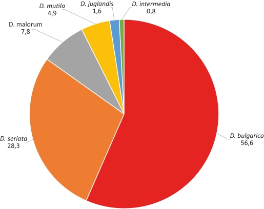 Abb. 3. Relativer Anteil (%) der Diplodia-Arten an den nachweislich mit Diplodia befallenen Proben