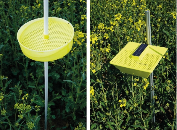 Fig. 2. Photographs of a yellow water trap (YWT) and a digital yellow water trap (DYWT) in an oilseed rape field. Note the solar power camera on top of the DYWT.