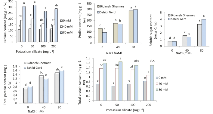Fig.2: Interaction effects of potassium silicate and NaCl on proline levels, soluble sugars content, and total protein content in two grapevine cultivars ('Bidaneh Ghermez' and 'Sahibi Gird'). Different letters indicate a significant difference (p<0.05) between different treatments.